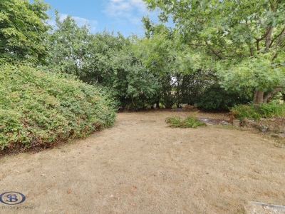 Picture 28